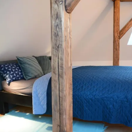 Msf Tuerkiser Wolf * كاسيل