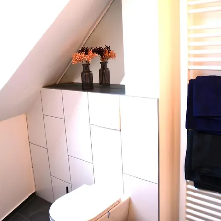 Msf Tuerkiser Wolf كاسيل