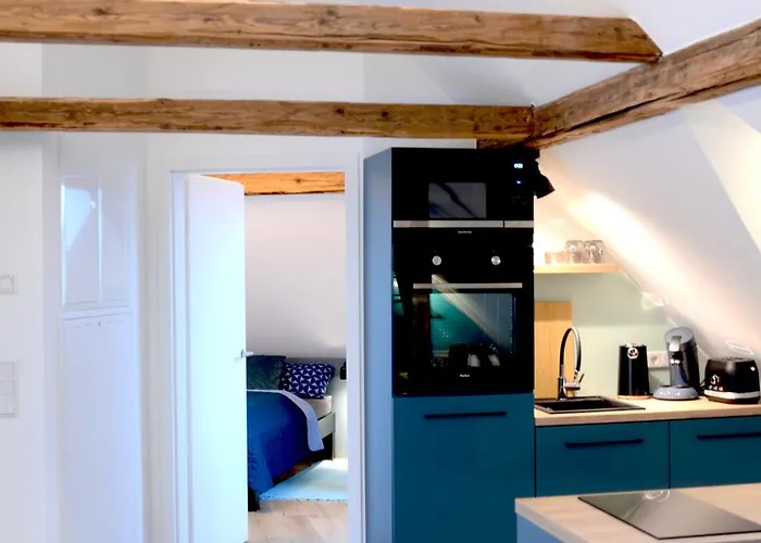 Msf Tuerkiser Wolf *