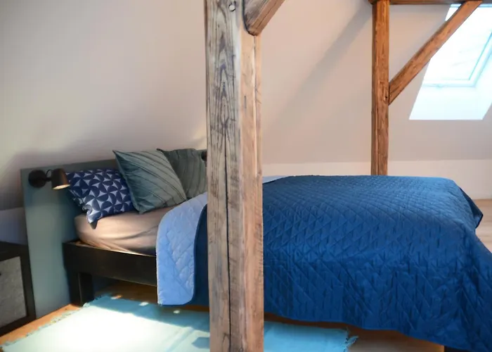 Msf Tuerkiser Wolf * Kassel