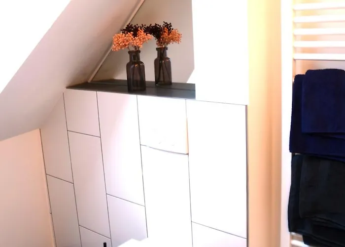 Msf Tuerkiser Wolf Kassel