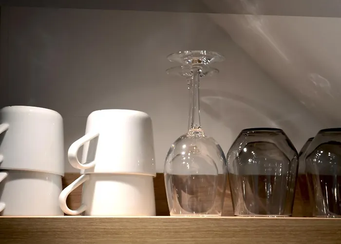 Msf Tuerkiser Wolf *