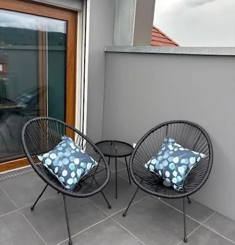 Msf Tuerkiser Wolf * Kassel